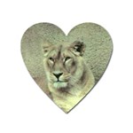 Lioness Magnet (Heart)