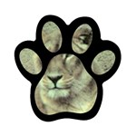 Lioness Magnet (Paw Print)