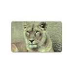 Lioness Magnet (Name Card)