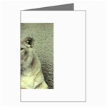 Lioness Greeting Card