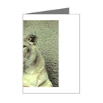 Lioness Mini Greeting Card