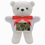 Lioness Teddy Bear