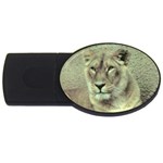 Lioness USB Flash Drive Oval (2 GB)