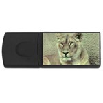 0079 USB Flash Drive Rectangular (4 GB)
