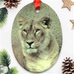 Lioness Oval Ornament (Two Sides)