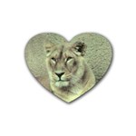 Lioness Rubber Coaster (Heart)