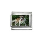 ILSE PLAISANCE dog-photo Italian Charm (9mm)