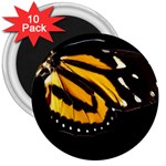 butterfly-pop-art-print-11 3  Magnet (10 pack)