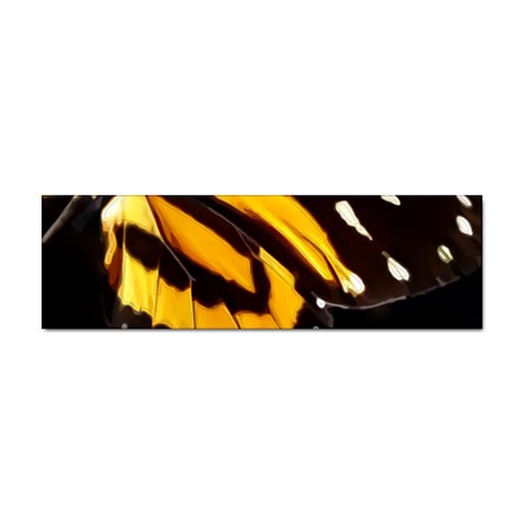 butterfly Front