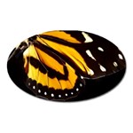butterfly-pop-art-print-11 Magnet (Oval)