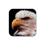 www_pics_am-birds133 Rubber Square Coaster (4 pack)