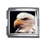 www_pics_am-birds133 Mega Link Italian Charm (18mm)