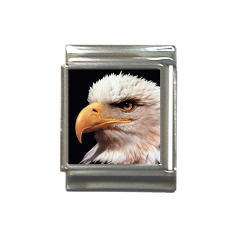 www_pics_am Front