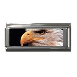 www_pics_am-birds133 Superlink Italian Charm (9mm)