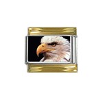 www_pics_am-birds133 Gold Trim Italian Charm (9mm)