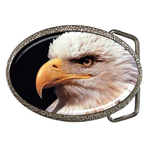 www_pics_am Front
