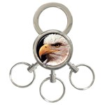 www_pics_am-birds133 3-Ring Key Chain