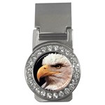 www_pics_am-birds133 Money Clip (CZ)