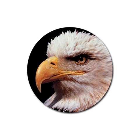 www_pics_am Front
