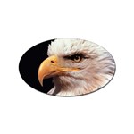www_pics_am-birds133 Sticker (Oval)