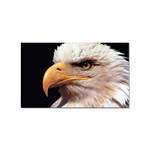 www_pics_am-birds133 Sticker (Rectangular)