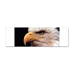 www_pics_am-birds133 Sticker (Bumper)