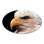 www_pics_am-birds133 Magnet (Oval)