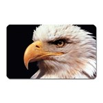 www_pics_am-birds133 Magnet (Rectangular)
