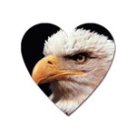 www_pics_am-birds133 Magnet (Heart)