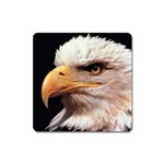 www_pics_am-birds133 Magnet (Square)