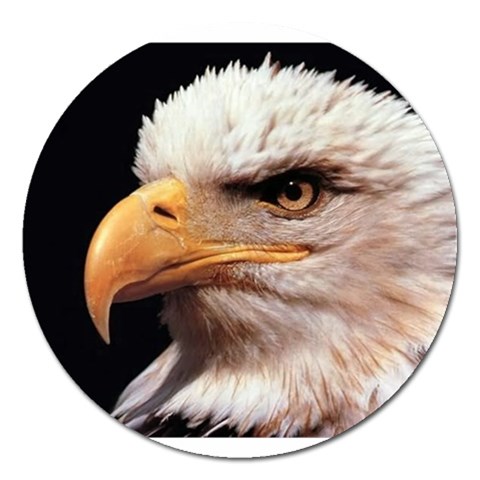 www_pics_am Front