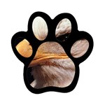 www_pics_am-birds133 Magnet (Paw Print)