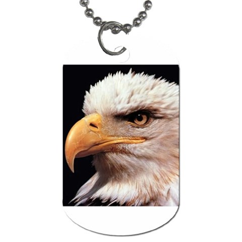 www_pics_am Front