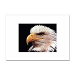 www_pics_am-birds133 Sticker A4 (100 pack)