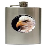 www_pics_am-birds133 Hip Flask (6 oz)