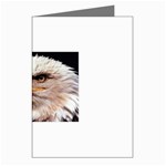 www_pics_am-birds133 Greeting Cards (Pkg of 8)