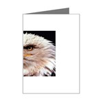www_pics_am-birds133 Mini Greeting Card