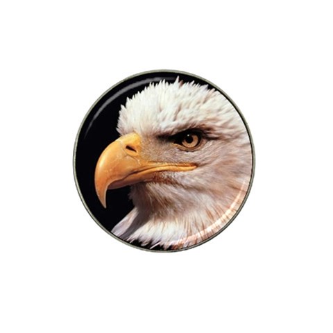 www_pics_am Front