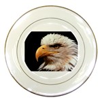 www_pics_am-birds133 Porcelain Plate