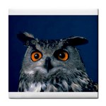 www_pics_am-birds207 Tile Coaster