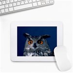 www_pics_am-birds207 Small Mousepad