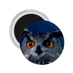 www_pics_am-birds207 2.25  Magnet