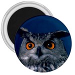 www_pics_am-birds207 3  Magnet