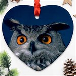 www_pics_am-birds207 Ornament (Heart)