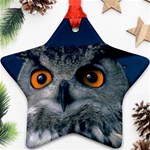 www_pics_am-birds207 Ornament (Star)