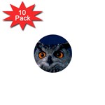 www_pics_am-birds207 1  Mini Button (10 pack) 
