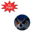 www_pics_am-birds207 1  Mini Magnet (10 pack) 