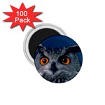 www_pics_am-birds207 1.75  Magnet (100 pack) 