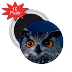 www_pics_am-birds207 2.25  Magnet (10 pack)