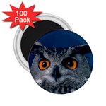 www_pics_am-birds207 2.25  Magnet (100 pack) 